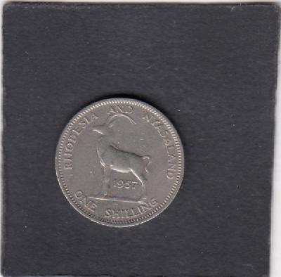 Beschrijving: 1 Shilling ANTELOPE